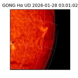gong - 2026-01-28T03:01:02