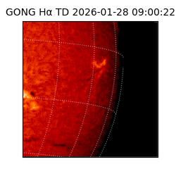 gong - 2026-01-28T09:00:22