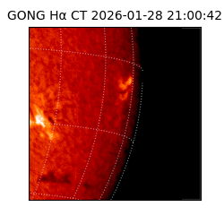 gong - 2026-01-28T21:00:42