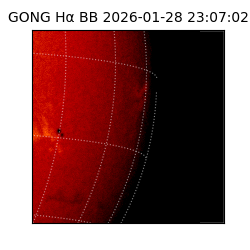 gong - 2026-01-28T23:07:02