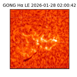 gong - 2026-01-28T02:00:42