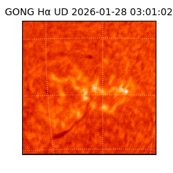 gong - 2026-01-28T03:01:02