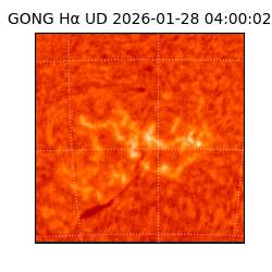 gong - 2026-01-28T04:00:02