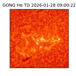 gong - 2026-01-28T09:00:22
