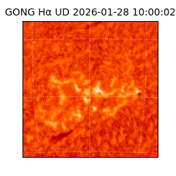 gong - 2026-01-28T10:00:02