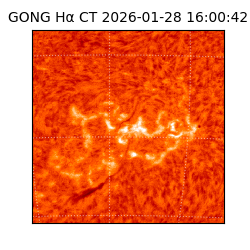 gong - 2026-01-28T16:00:42