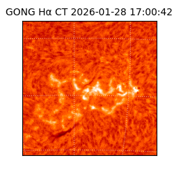gong - 2026-01-28T17:00:42