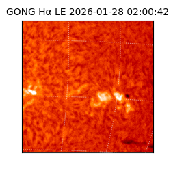 gong - 2026-01-28T02:00:42