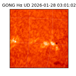 gong - 2026-01-28T03:01:02