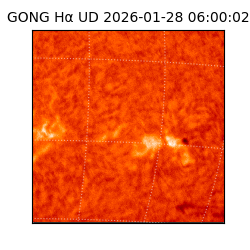 gong - 2026-01-28T06:00:02