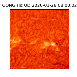 gong - 2026-01-28T08:00:02