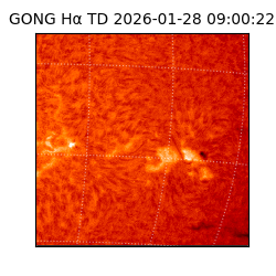 gong - 2026-01-28T09:00:22
