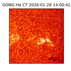 gong - 2026-01-28T14:00:42