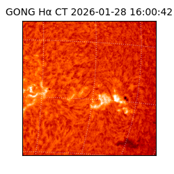 gong - 2026-01-28T16:00:42