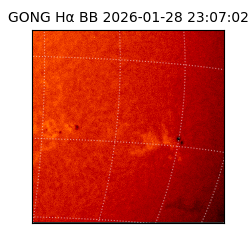 gong - 2026-01-28T23:07:02