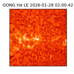 gong - 2026-01-28T02:00:42