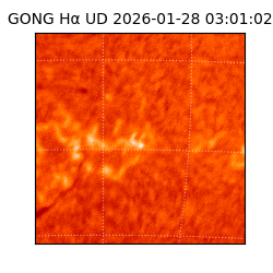 gong - 2026-01-28T03:01:02