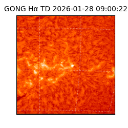 gong - 2026-01-28T09:00:22
