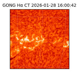 gong - 2026-01-28T16:00:42