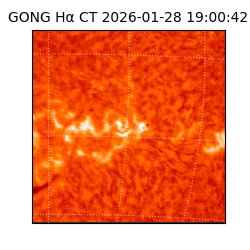 gong - 2026-01-28T19:00:42
