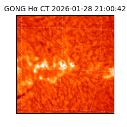 gong - 2026-01-28T21:00:42