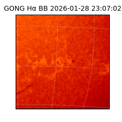 gong - 2026-01-28T23:07:02