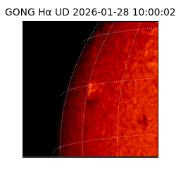 gong - 2026-01-28T10:00:02