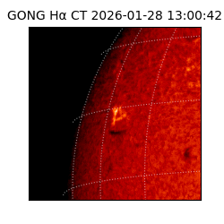 gong - 2026-01-28T13:00:42