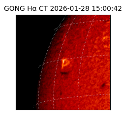 gong - 2026-01-28T15:00:42