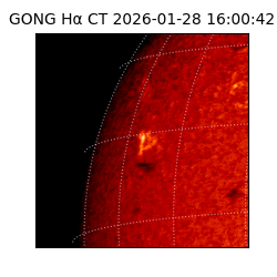 gong - 2026-01-28T16:00:42