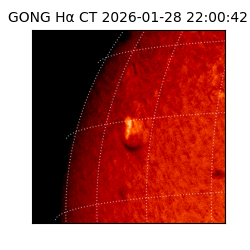 gong - 2026-01-28T22:00:42