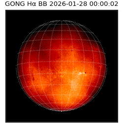 gong - 2026-01-28T00:00:02
