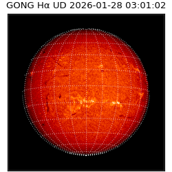 gong - 2026-01-28T03:01:02
