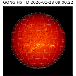 gong - 2026-01-28T09:00:22