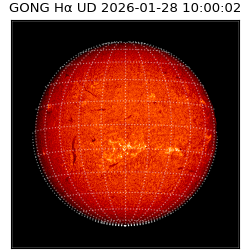 gong - 2026-01-28T10:00:02