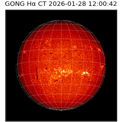 gong - 2026-01-28T12:00:42