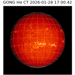 gong - 2026-01-28T17:00:42