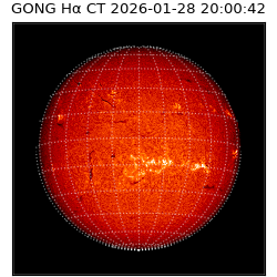 gong - 2026-01-28T20:00:42