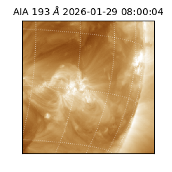 saia - 2026-01-29T08:00:04.842000