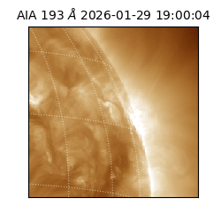 saia - 2026-01-29T19:00:04.843000