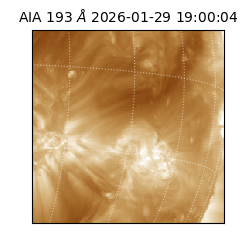 saia - 2026-01-29T19:00:04.843000