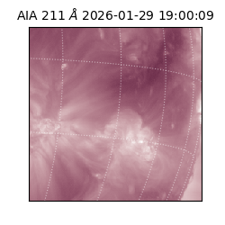 saia - 2026-01-29T19:00:09.626000