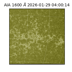 saia - 2026-01-29T04:00:14.126000