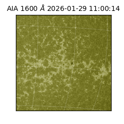 saia - 2026-01-29T11:00:14.125000