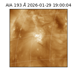 saia - 2026-01-29T19:00:04.843000