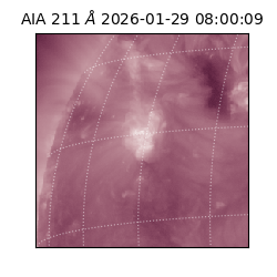 saia - 2026-01-29T08:00:09.623000