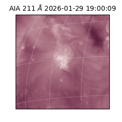 saia - 2026-01-29T19:00:09.626000