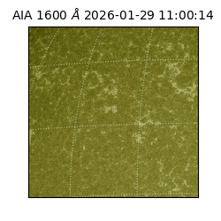 saia - 2026-01-29T11:00:14.125000