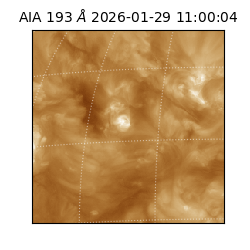 saia - 2026-01-29T11:00:04.846000