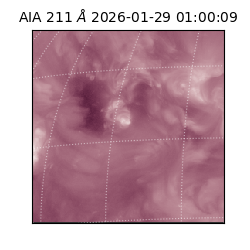 saia - 2026-01-29T01:00:09.626000